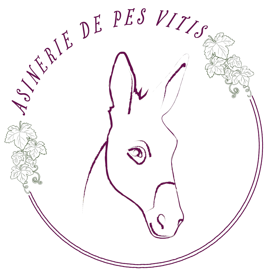 Asinerie de pes vitis