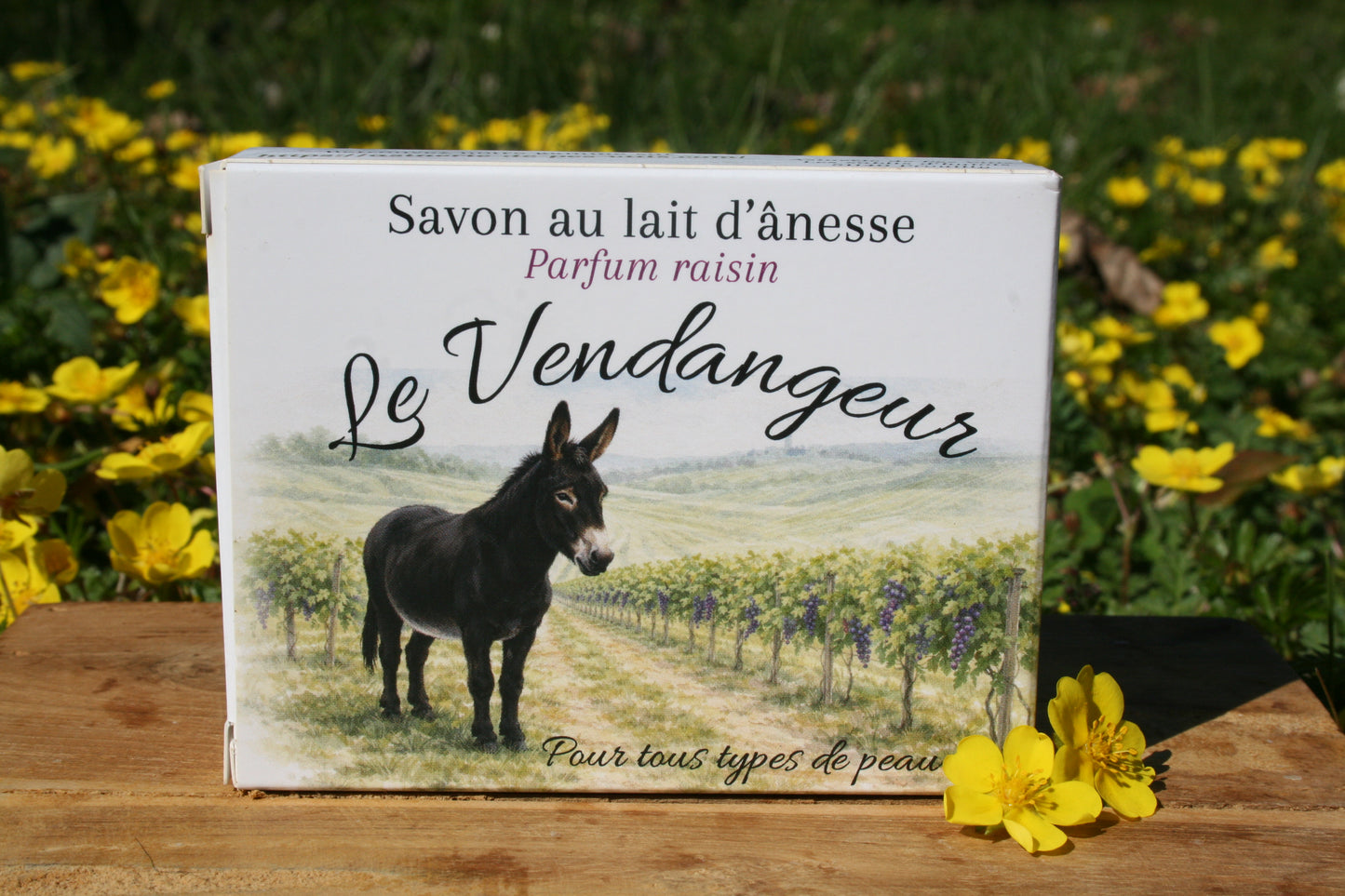 Coffret découverte